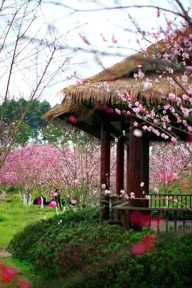 小人国救援
