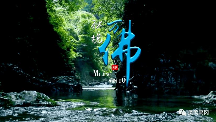二战时的一只狗熊,跟随军队抽烟喝酒扛炮弹,最终成了英雄