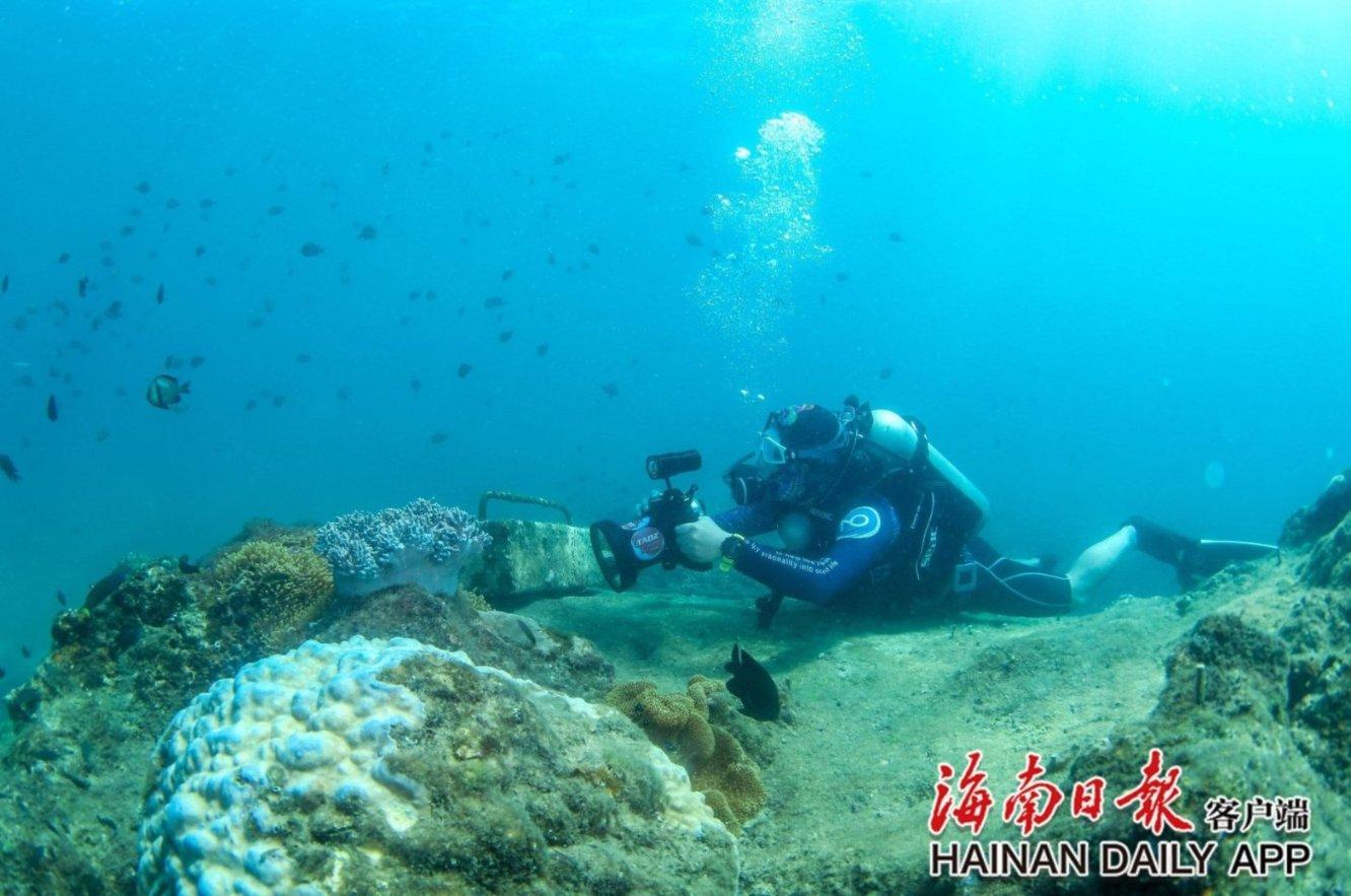夏季为什么容易被烫伤？游戏画面
