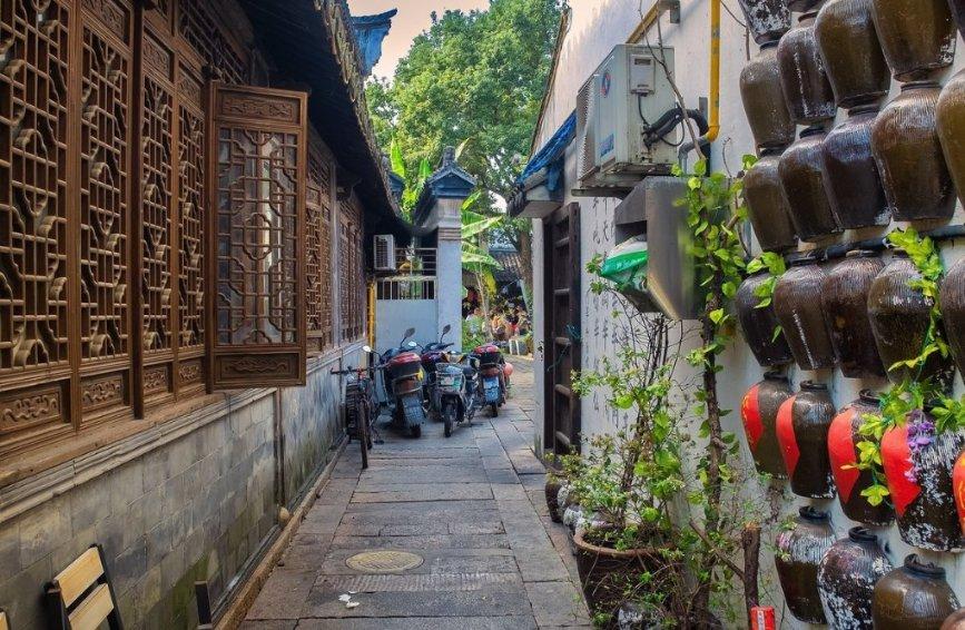 可爱小猫向上跳