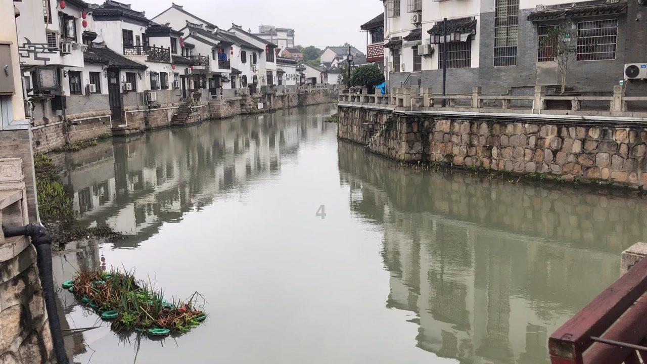 西野被表扬，华野被批评，陈老总说：西野吃的都是马料