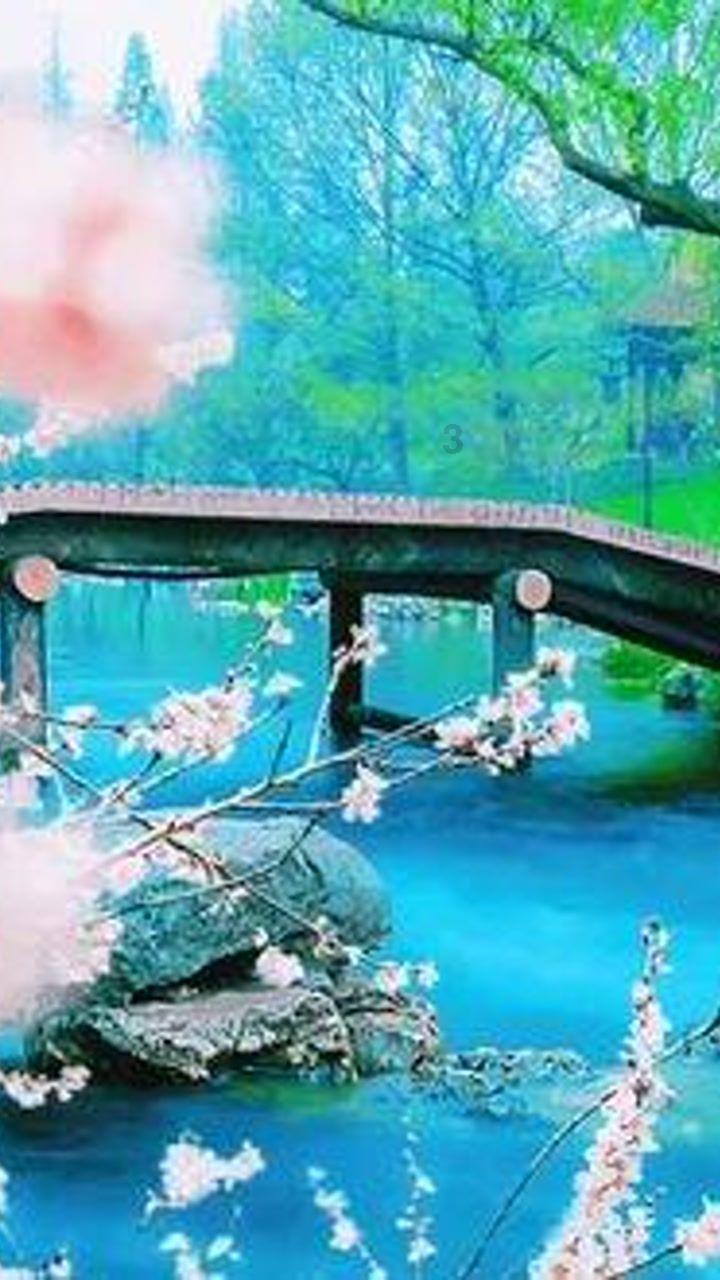影之诗